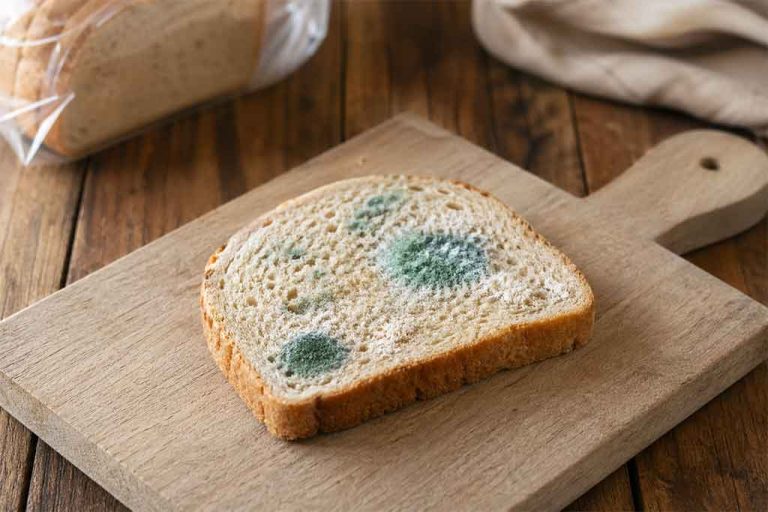 what happens if you eat moldy bread