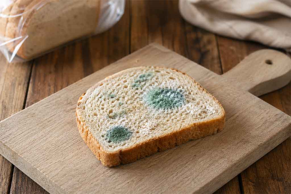 what happens if you eat moldy bread