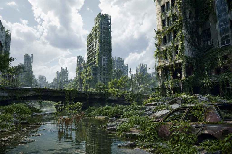 what earth would look like if humans disappeared tomorrow