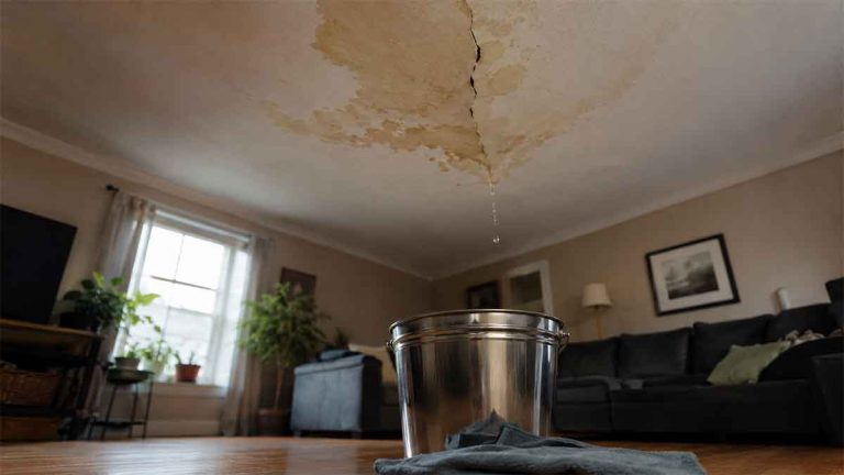 what to do if the ceiling is leaking